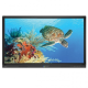 Boxlight 554U 55 inch ProColor 4K Interactive Flat Panel Display